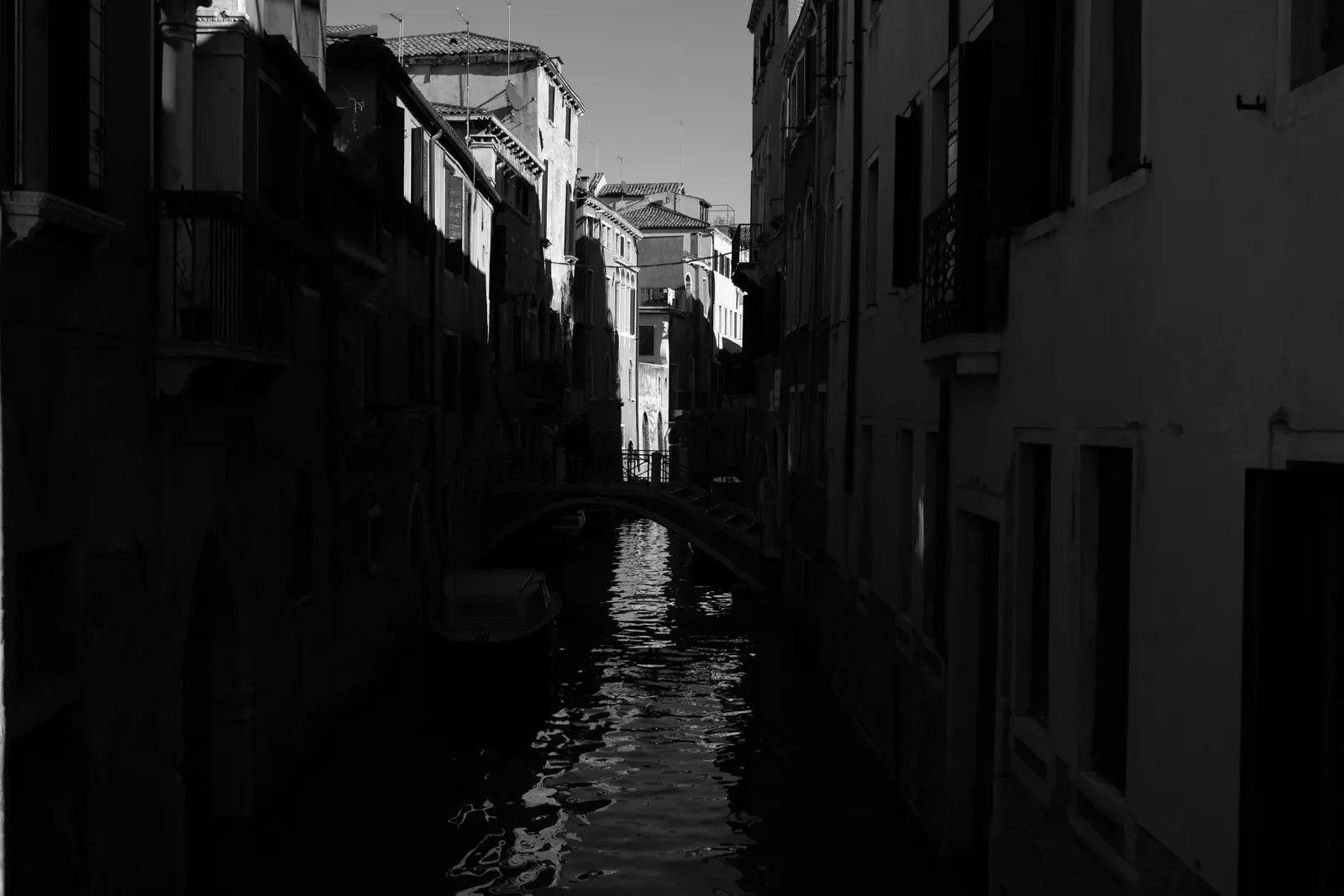 Serenissima (@Iuav — 2024)